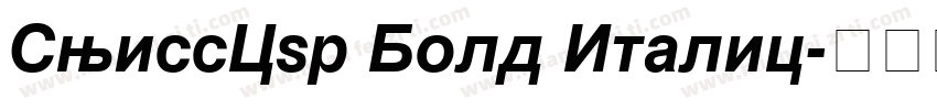 SwissCyr Bold Italic字体转换